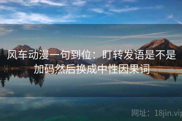 风车动漫一句到位：盯转发语是不是加码然后换成中性因果词