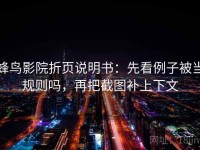 蜂鸟影院折页说明书：先看例子被当规则吗，再把截图补上下文