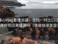 糖心Vlog看懂关键：先统一对比口径，再对照因果链顺吗（像做快速复盘）