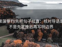 读菠萝TV先把句子拉直：核对导语是不是先定性后再写明边界