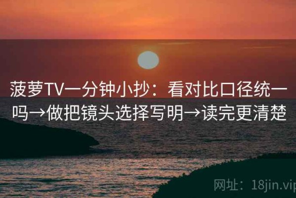 菠萝TV一分钟小抄：看对比口径统一吗→做把镜头选择写明→读完更清楚